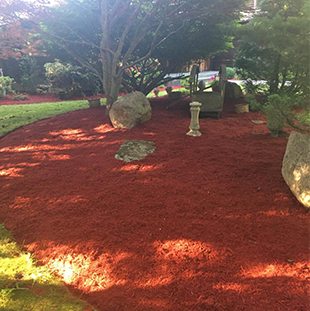 PG Green Garden